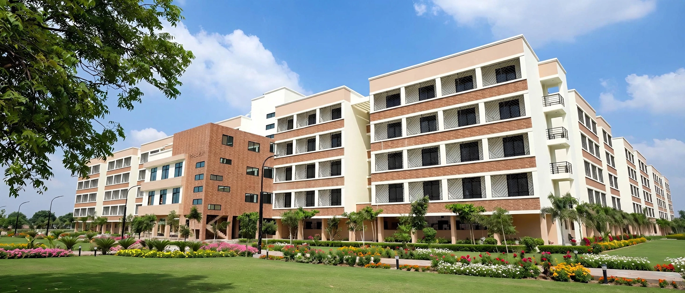 Sanjeev Agrawal Global Educational University