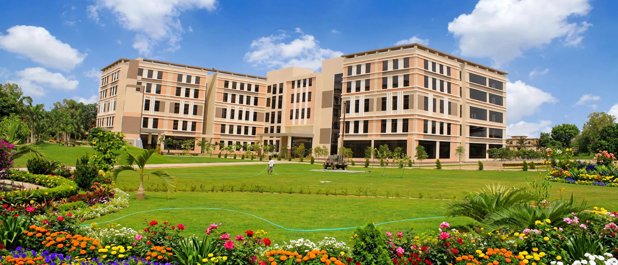 GD Goenka University