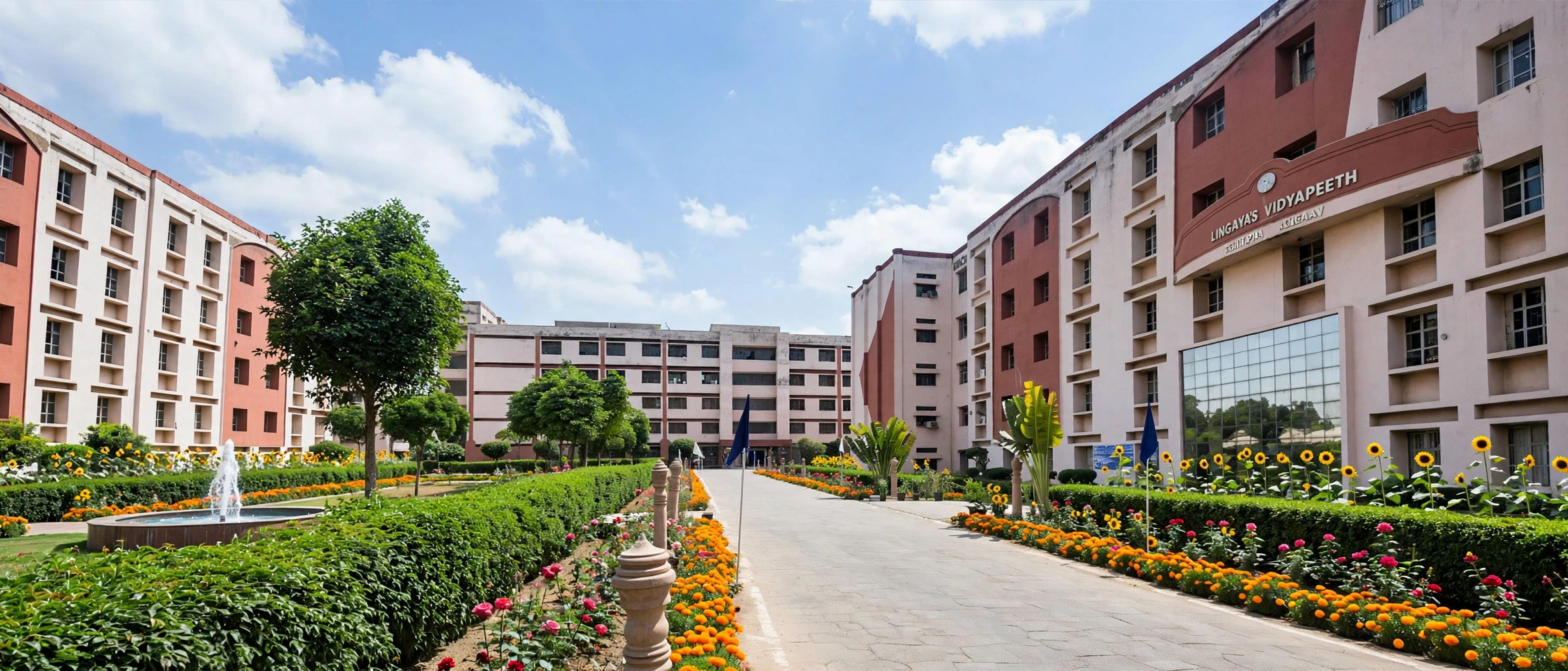 Lingaya's Vidyapeeth